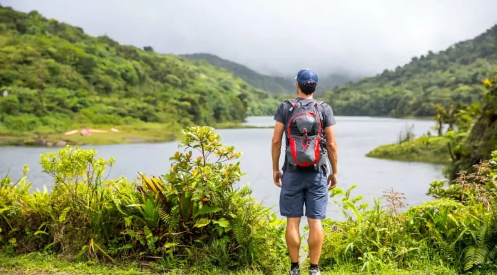 Man search for something in green land 